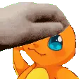 PetPyro2