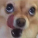 MLEM MLEM