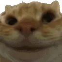 Ye2 Ye2