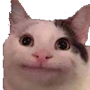 catstare