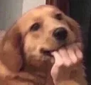 tisssssk