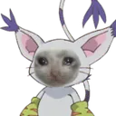gatocry gatocry