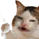 CatThumbDown