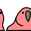 parrot_row