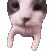 catKISS