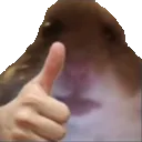 bruhthumbsup