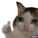 catnice catnice