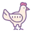 pollo