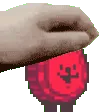pyropetfast