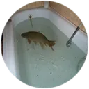 4bb03c8e2f09ecd73e9782ab6a991a09