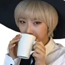 haseultea