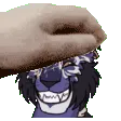 Pet_inigo_