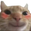 swagblush