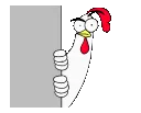 chicken2