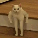 stronkkitty Discord Emoji