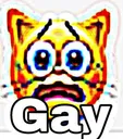 GAY