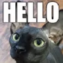 Cathello CatHello Discord Emoji