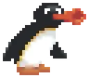 pingu_noot pingu_noot