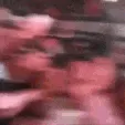 drakemoshpit