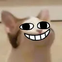 borbcat