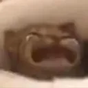 5499