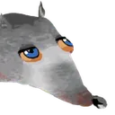 rat rat