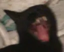 AAAAAAA