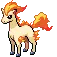 o_ponyta