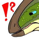 paraWhat