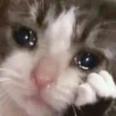 sad_catto