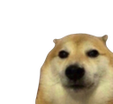 oklol Discord emoji