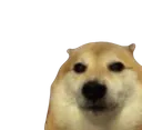 oklol