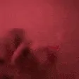 dogJam2