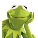 6_Kermit_alli