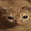 gwagwa