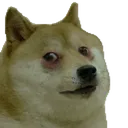 paindoge