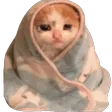 ComfyCat