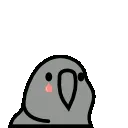 SadParrot
