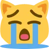 3026crycatface Discord Emoji