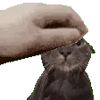wc_pet