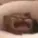 catsob