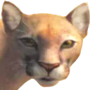 Puma Puma