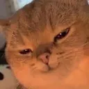 mmmmmmmmm