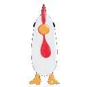 popodak_what popodak_what