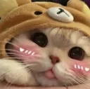 Cat Blush Cat_Blush Discord Emoji