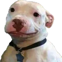grin