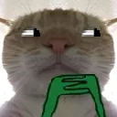 catstarehmm