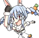 pekoraisrunning