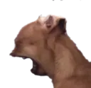 fellacry