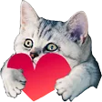 lefongBenoniLove lefongBenoniLove